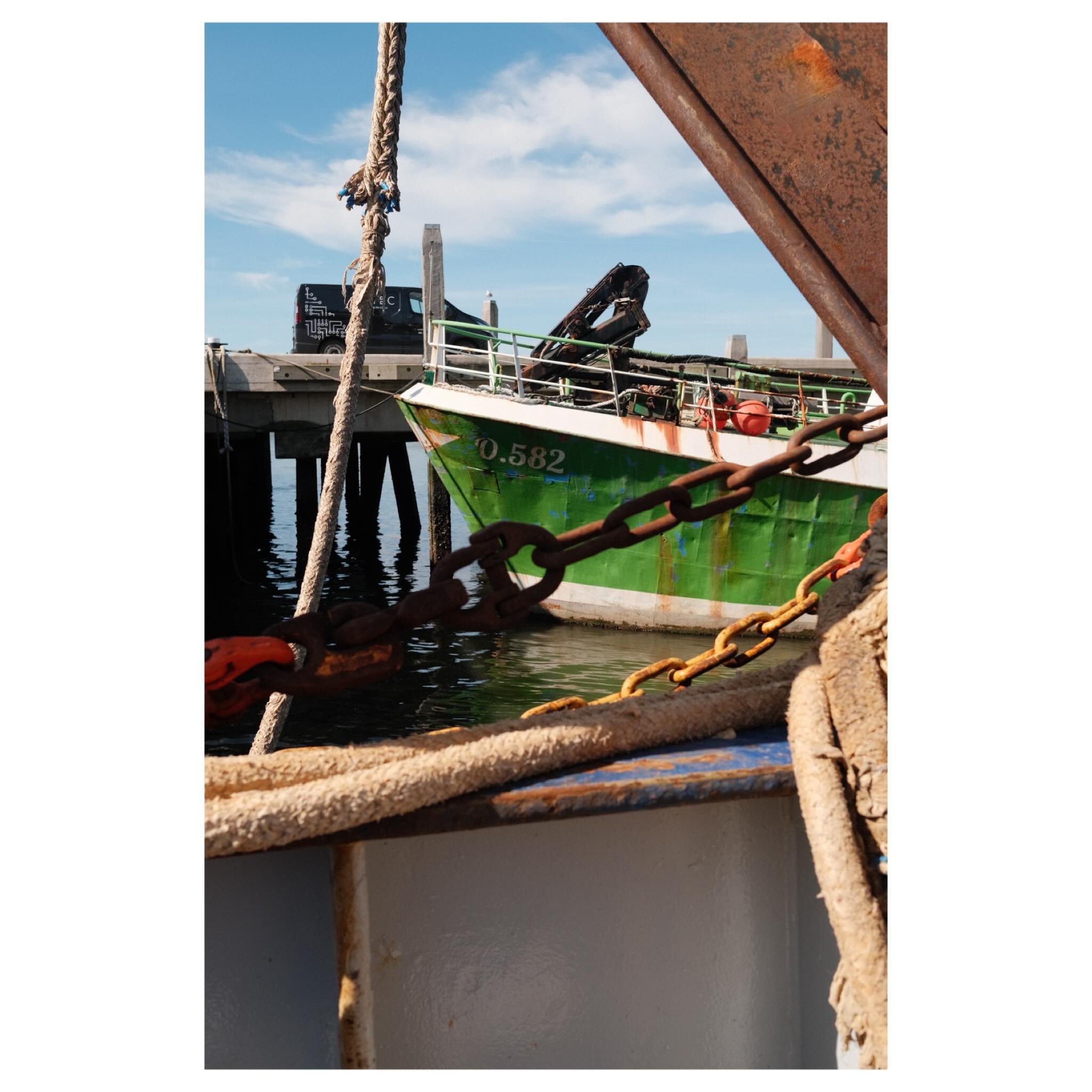 Entangled // North Sea // June 2026 // Fujifilm X-T3 #lifeatsea #saltyframes #marineresearch