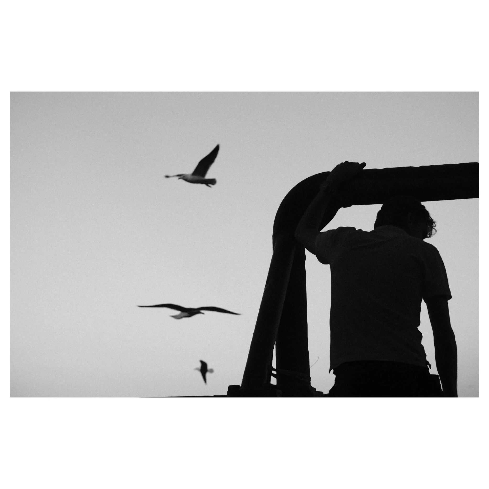 @sverregjerdetverre and seagulls / North Sea / June 2026 / Fujifilm X-T3