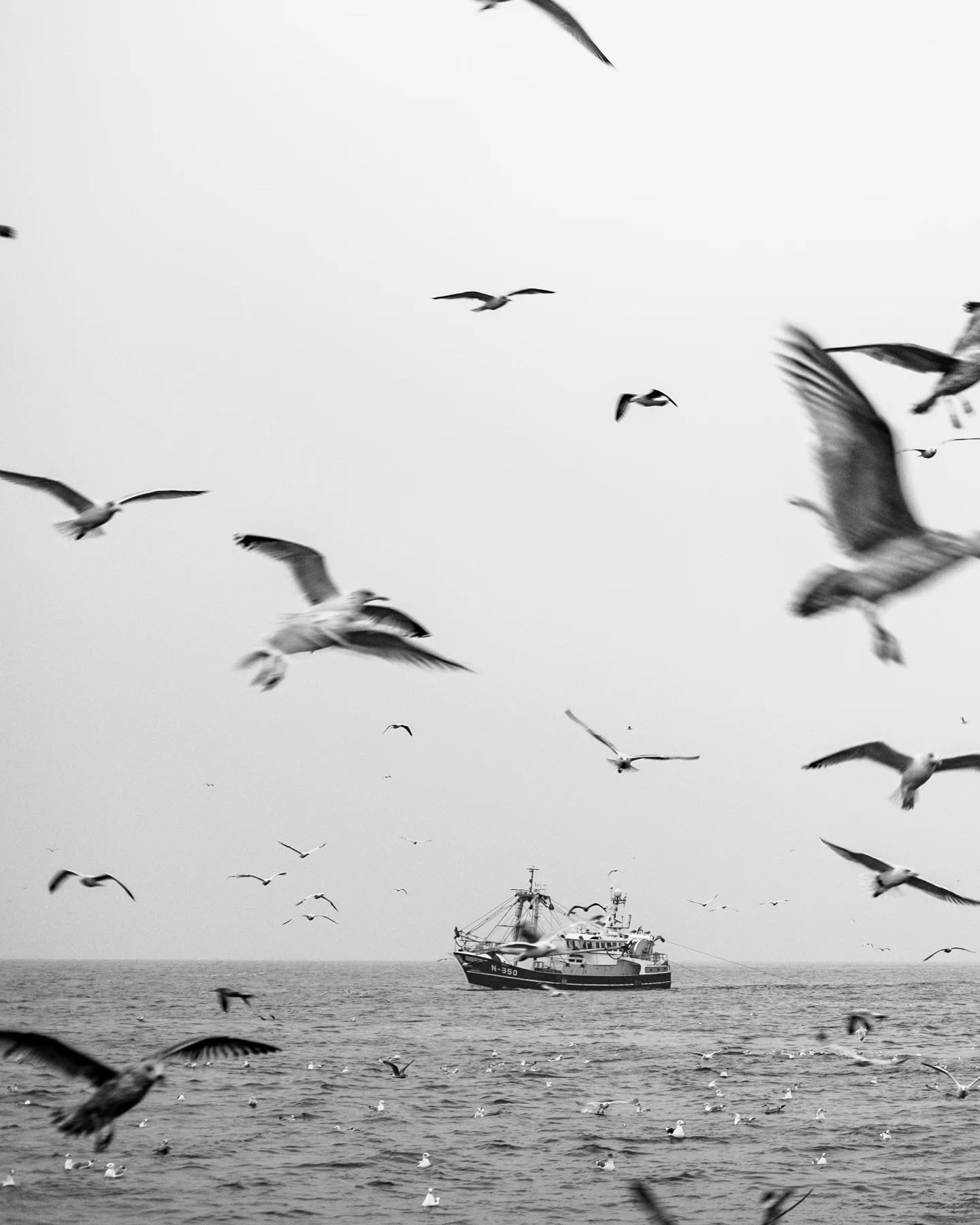Some shots from my latest zine.

#saltyframes #lifeatsea #fisherman