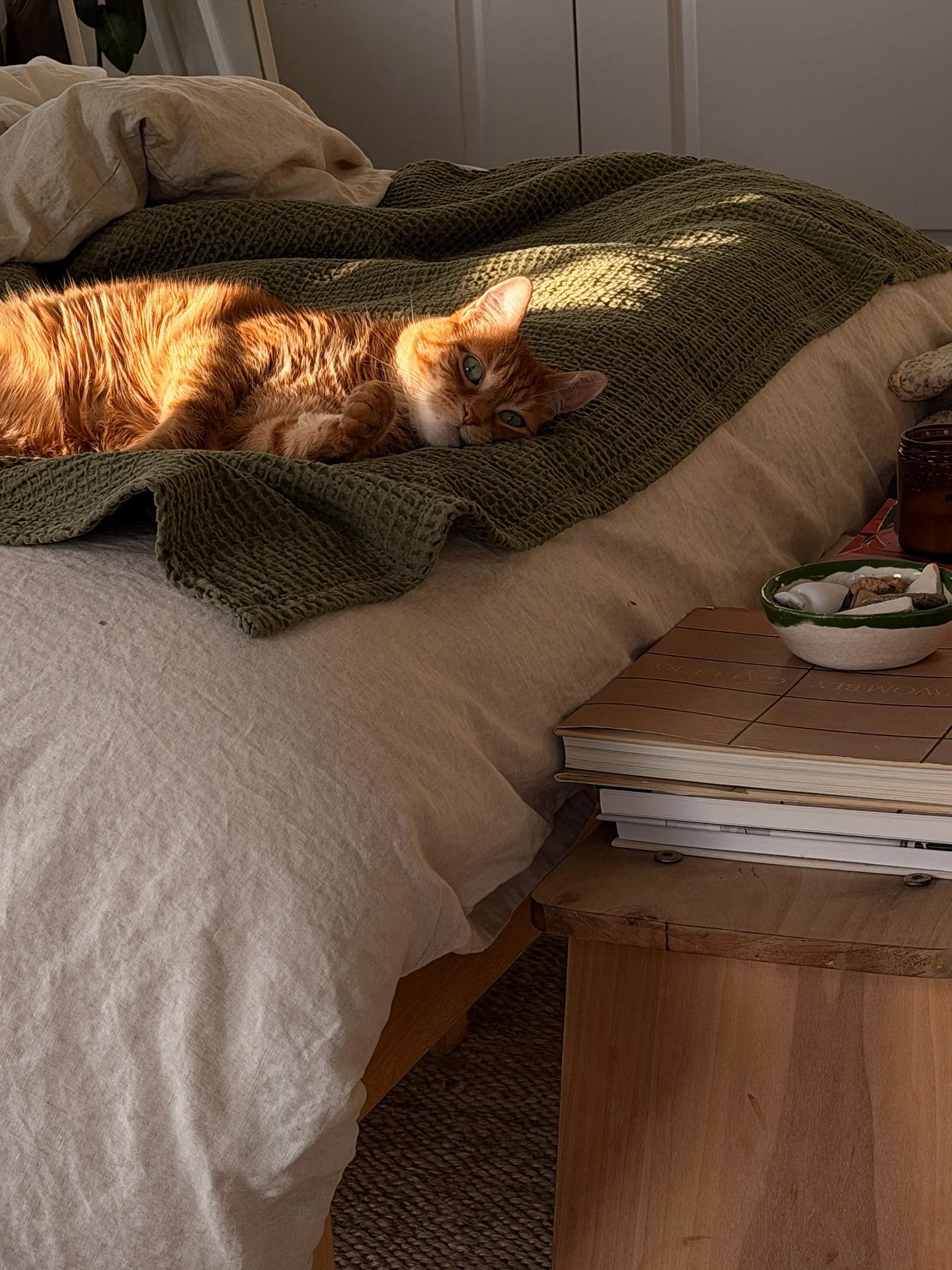 this is the vibe this holiday season 🤍