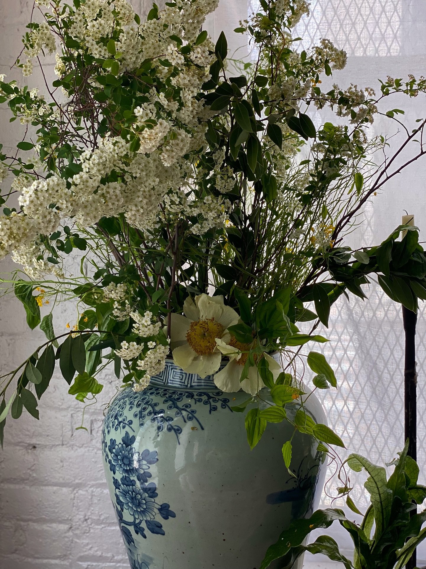 Pretending that snow didn&rsquo;t just fall from the sky and that spring is upon us.. how about you? :-)

Gorgeous florals from @bellocq a few years ago