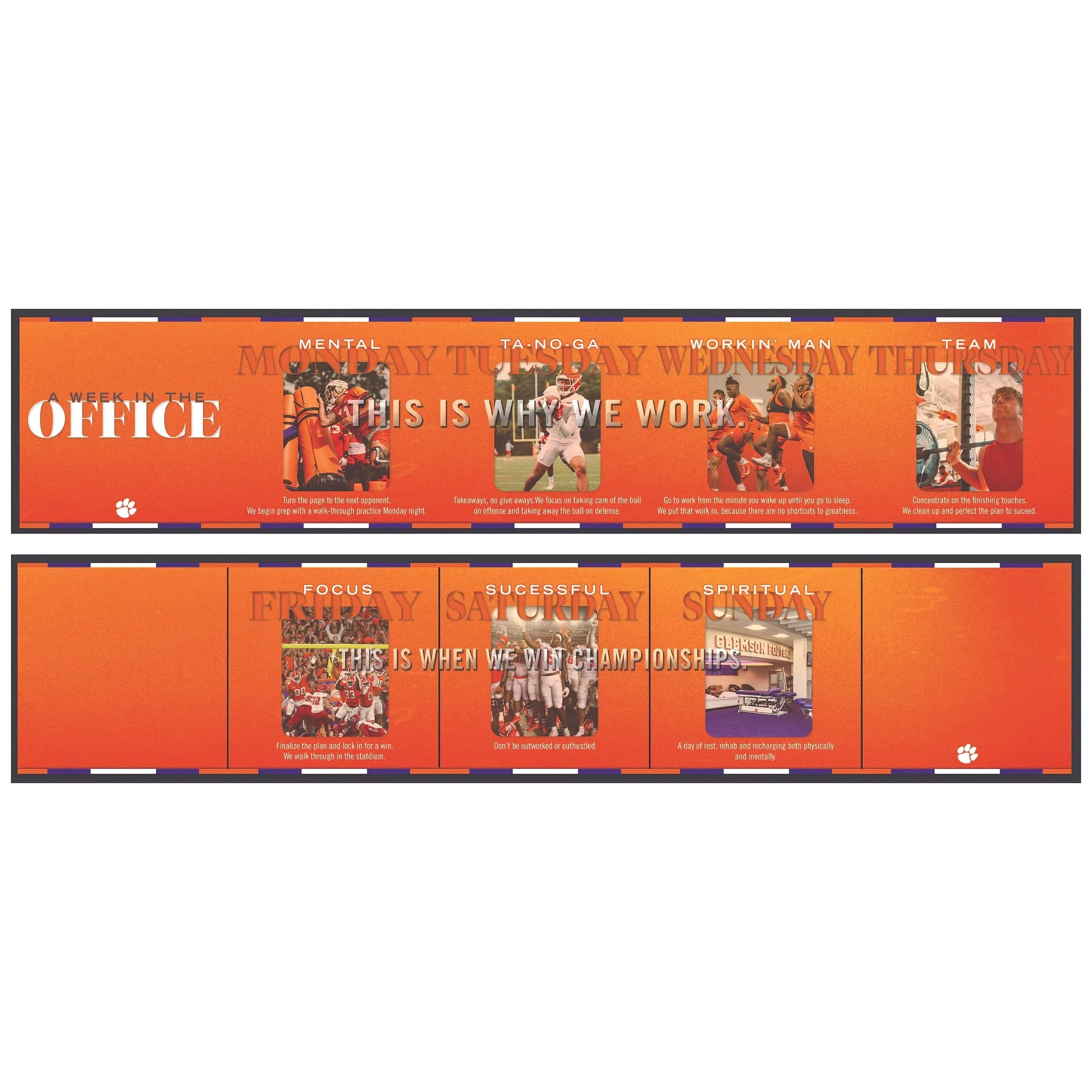 A week in the office.jpg