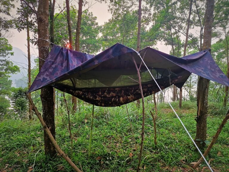 Alone in the Forest: My Journey of Fasting, Trust and Faith