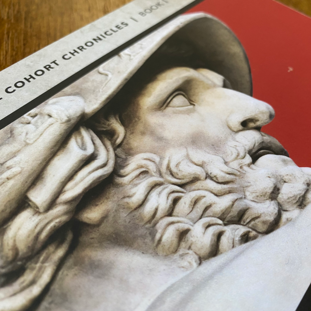 Close-up of a stone sculpture of a bearded man wearing a hat, with text at the top reading 'The Cohort Chronicles'.