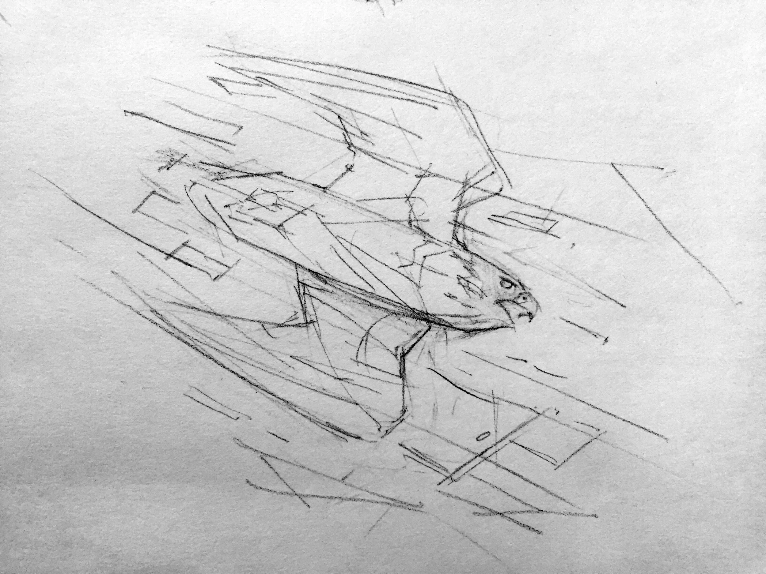 File Feb 06, 11 55 22 AM.jpeg