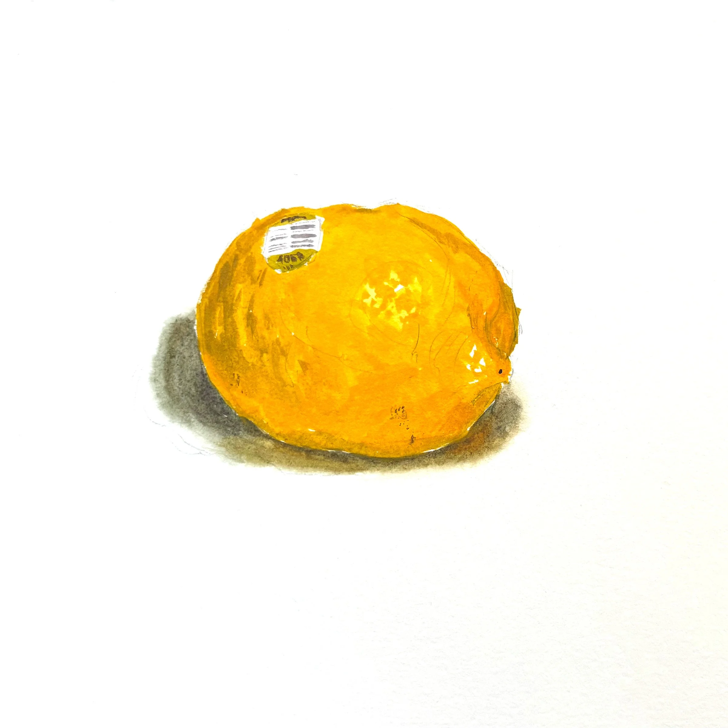 Lemon-406A.jpg