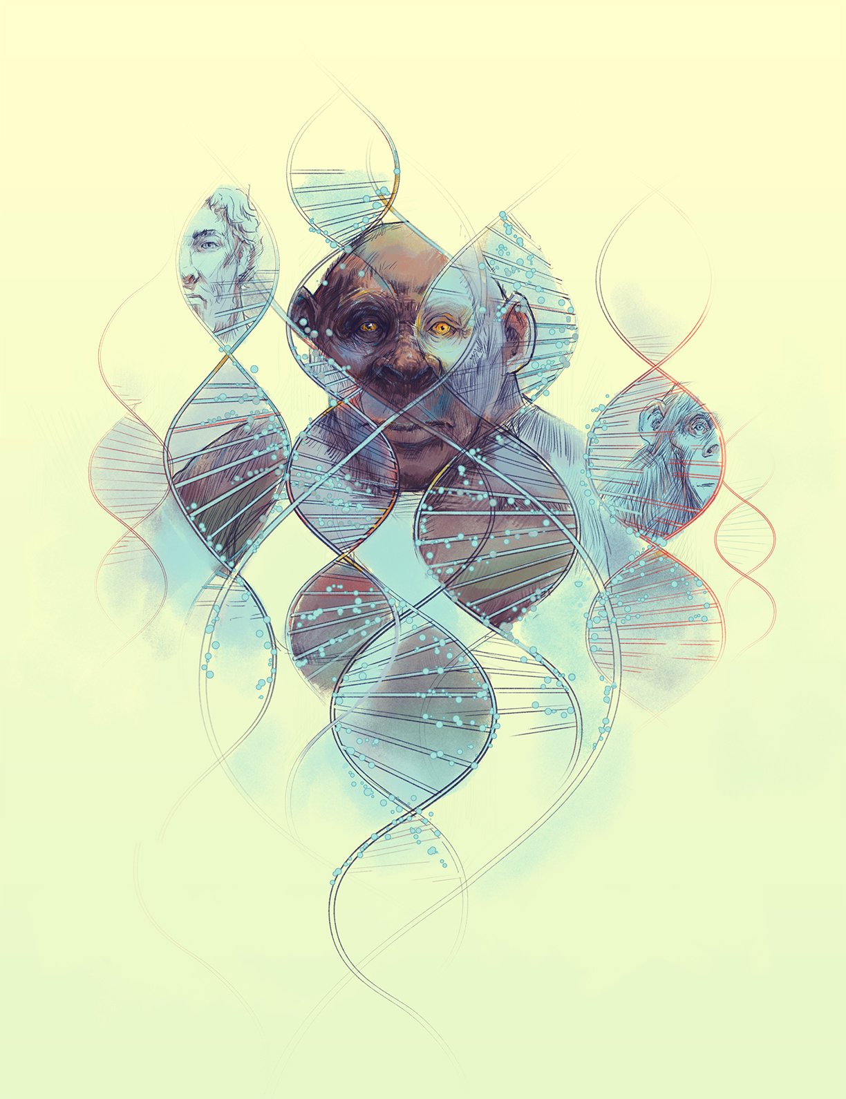 ApesDNA_Illustration2_v3_purple.jpg