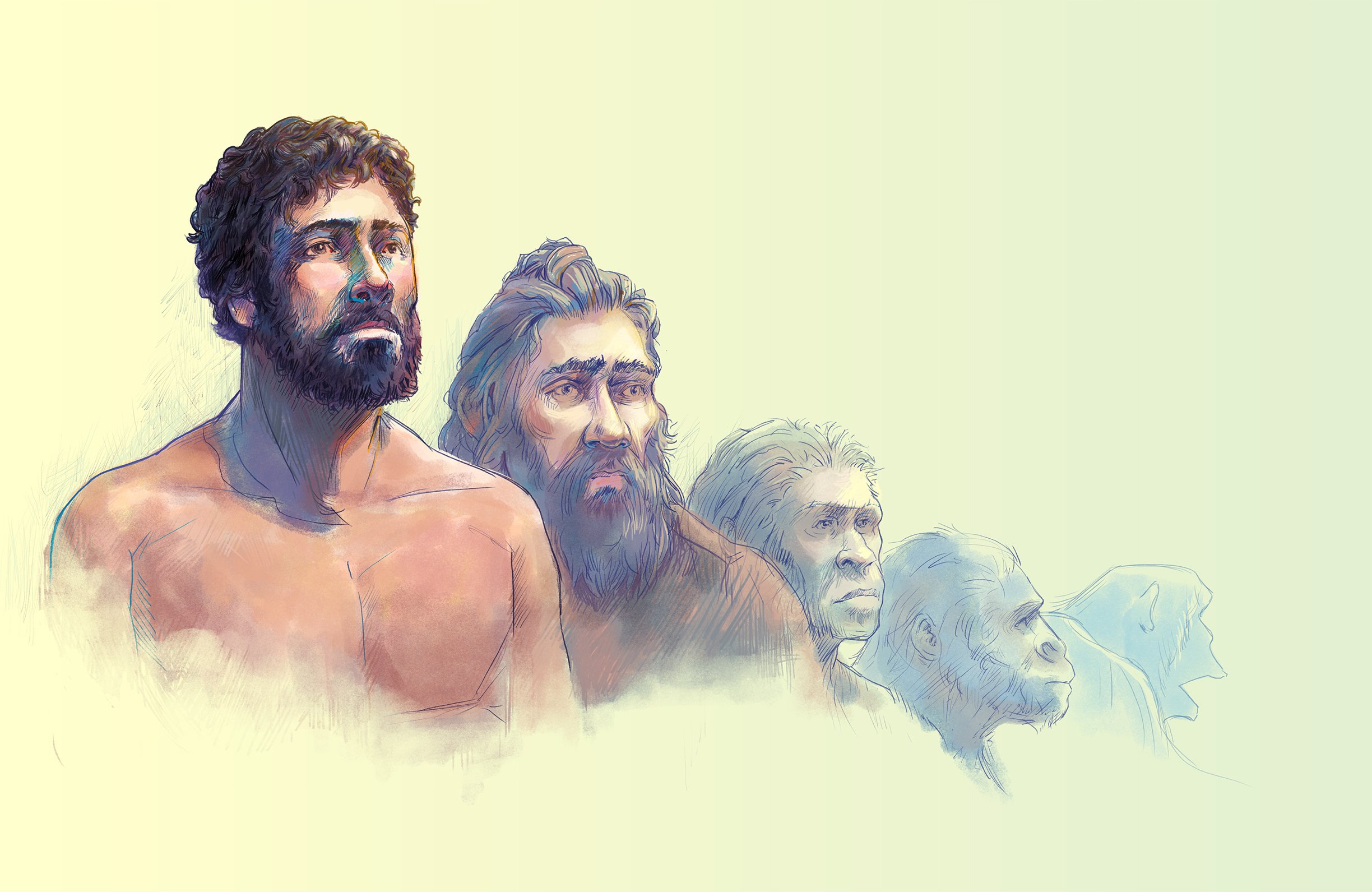 Adam-Ape_illustration1_v3_purple.jpg