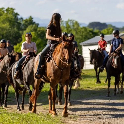 Adair_Acres_Trail_Rides_500x500px_Shopify copy.jpg.jpg