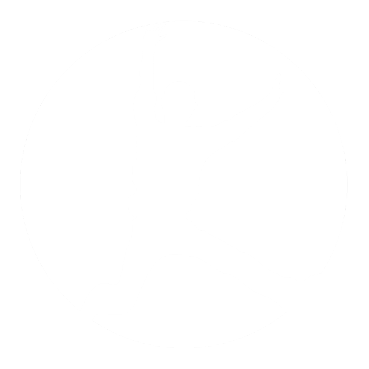 The Reach Foundation