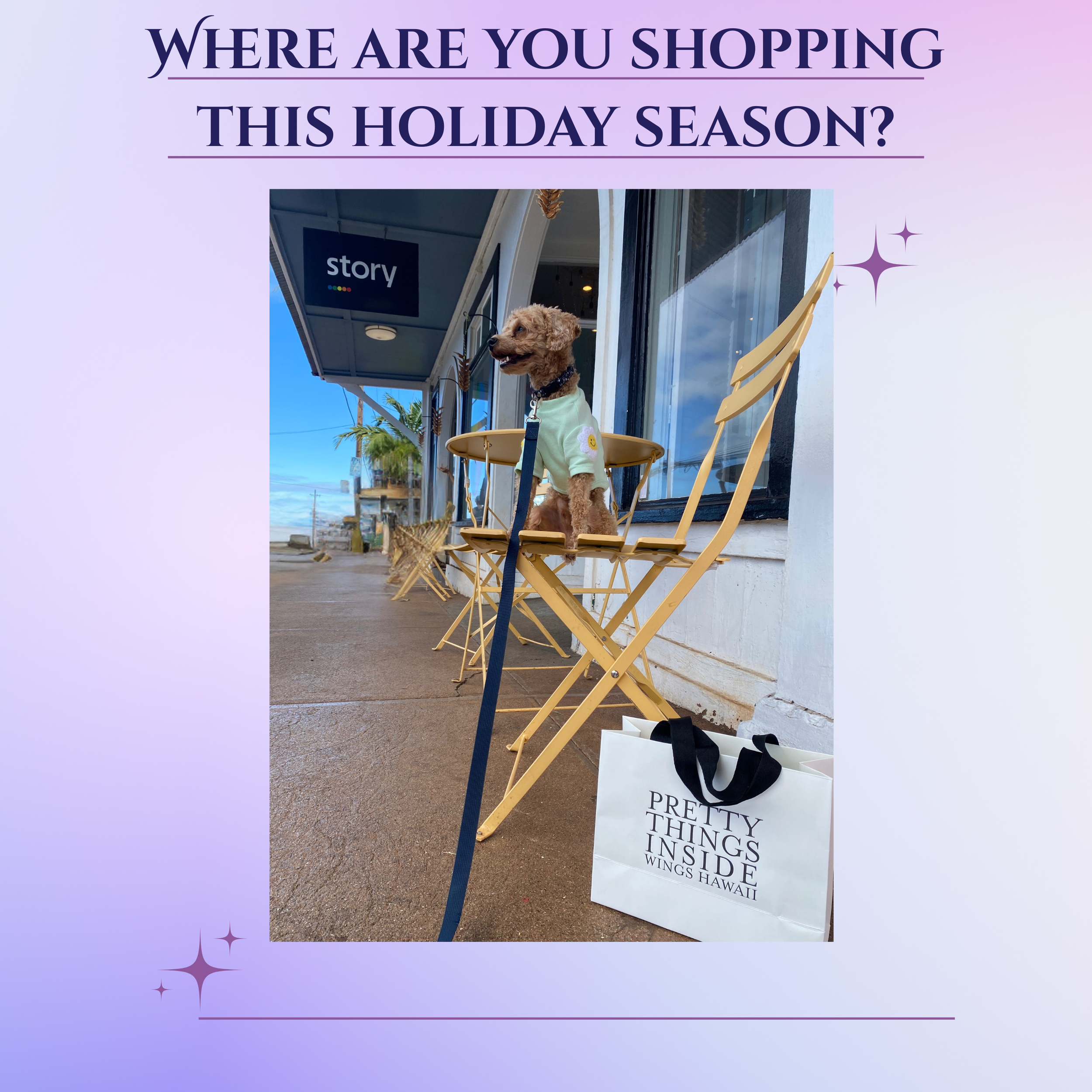 The Importance of Supporting Small Businesses; Why Shopping Local This Holiday Season Strengthens Your Wallet, Your Community, and Your Future.