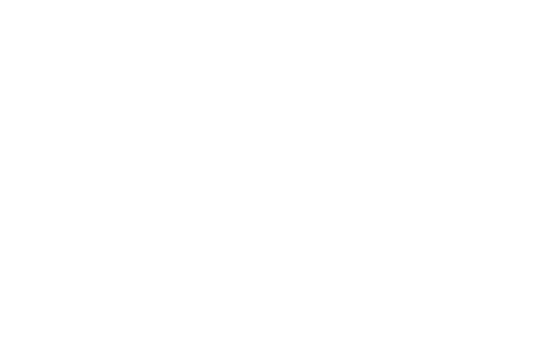 NBAA Logo