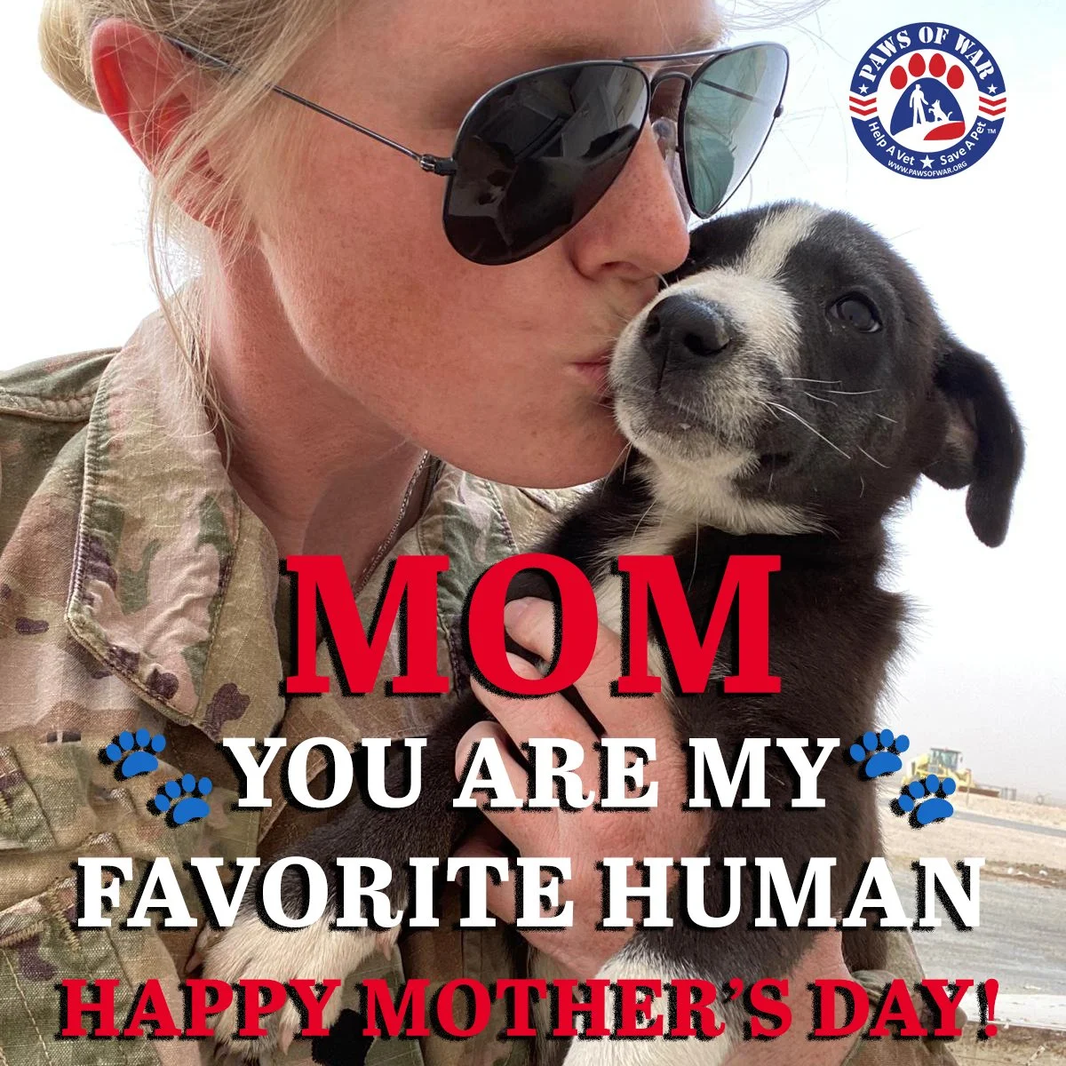 On behalf of all of us here at Paws of War, we&rsquo;d like to wish a very Happy Mother&rsquo;s Day to the Dog Moms, Cat Moms, and of course, the Human Moms too! We hope all the Moms out there enjoy your special day, and we can&rsquo;t thank you enou