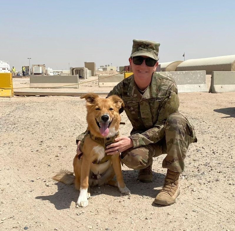 MWD Musket
