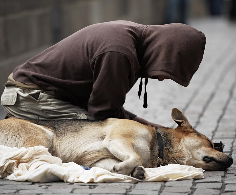 Homeless vet with dog 824px.png
