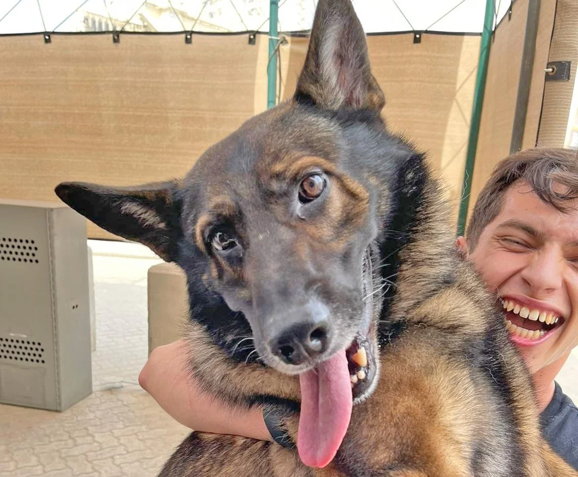 Mission Well done.jpg