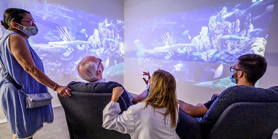 Alerta, espòiler: pel·lícules que podrien salvar-te la vida