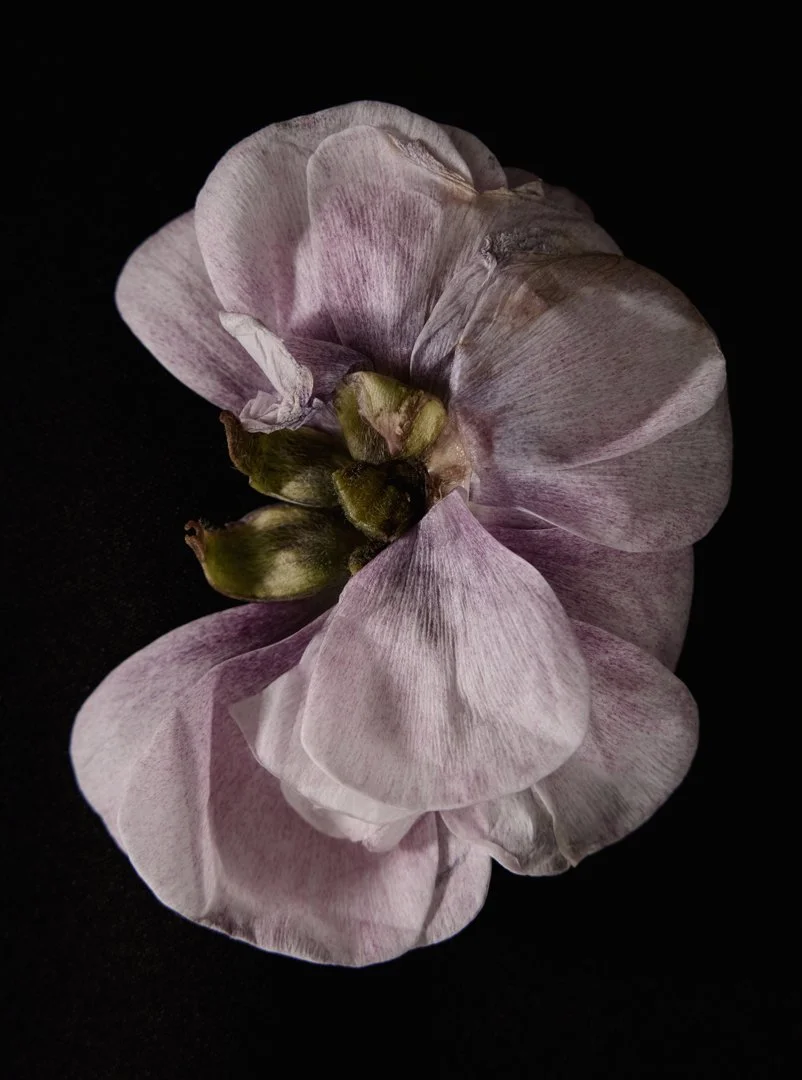 26.03.11_LINESOFREVERENCE0046.jpg