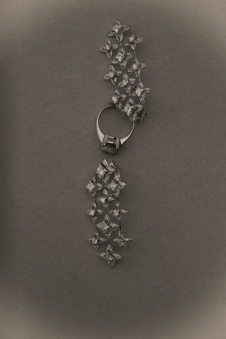 High Jewellery_Silhouette_SS262191Web.jpg
