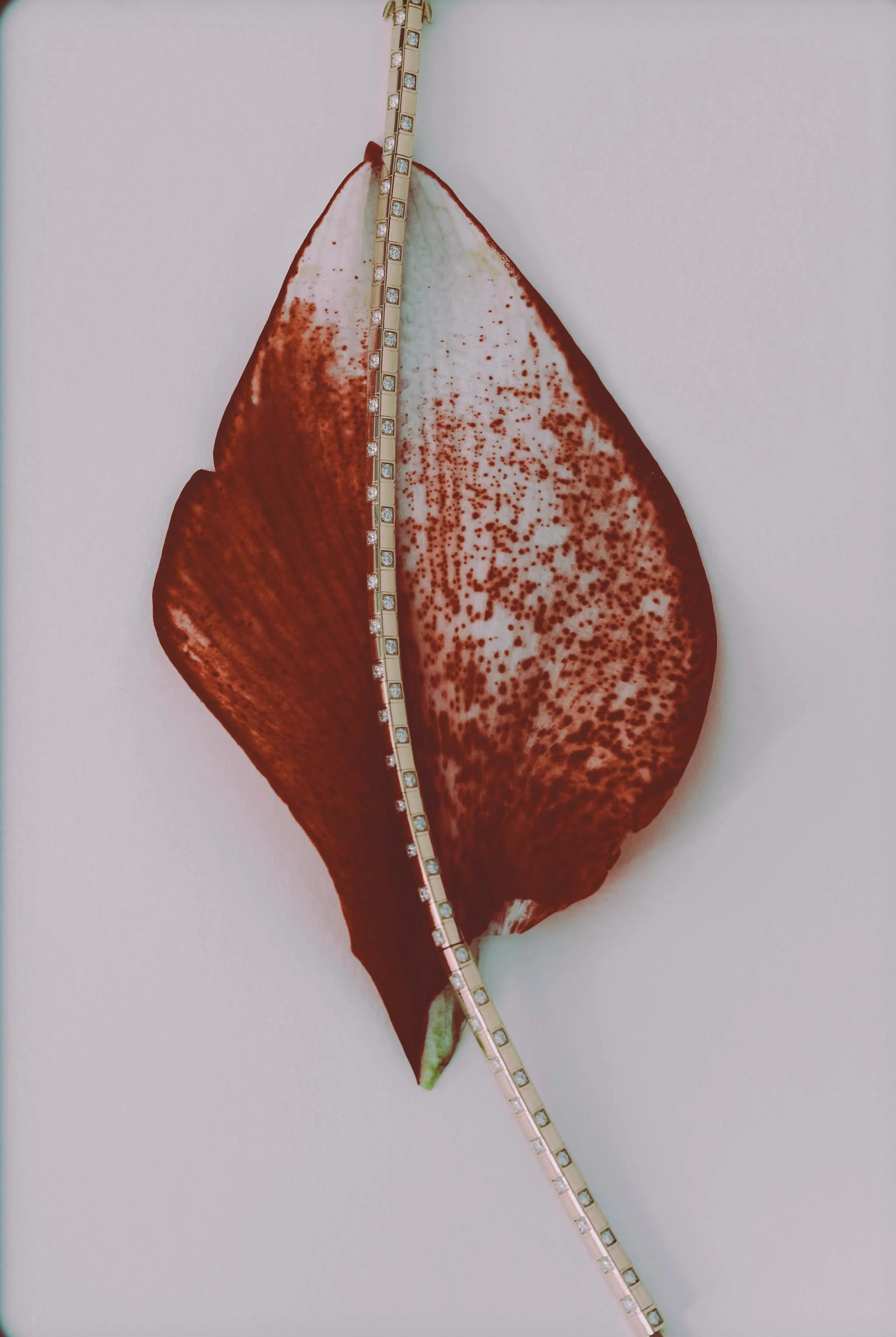 graded 2 version.jpg