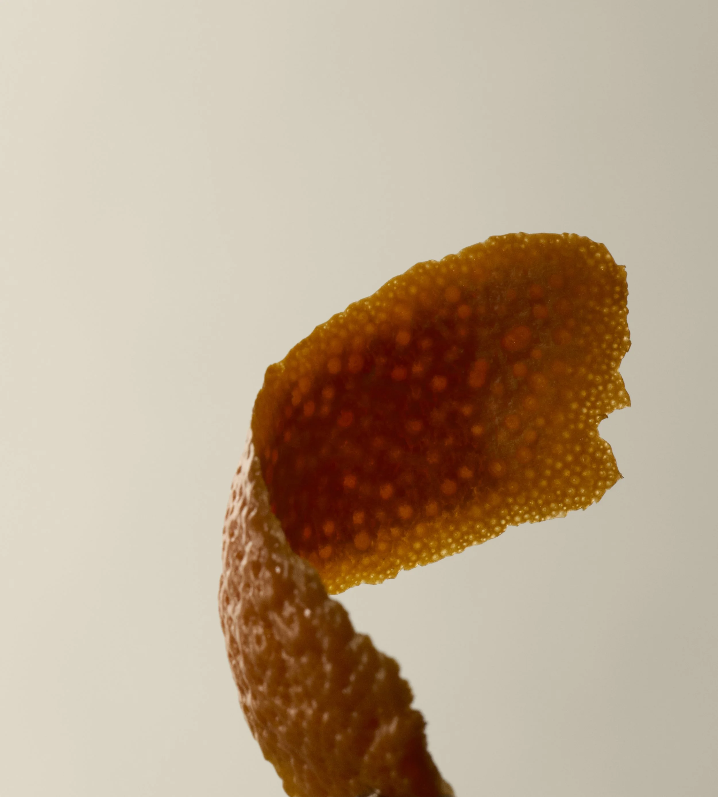 DigitalII25_Still_IngredientTangerinePeel_056.jpg