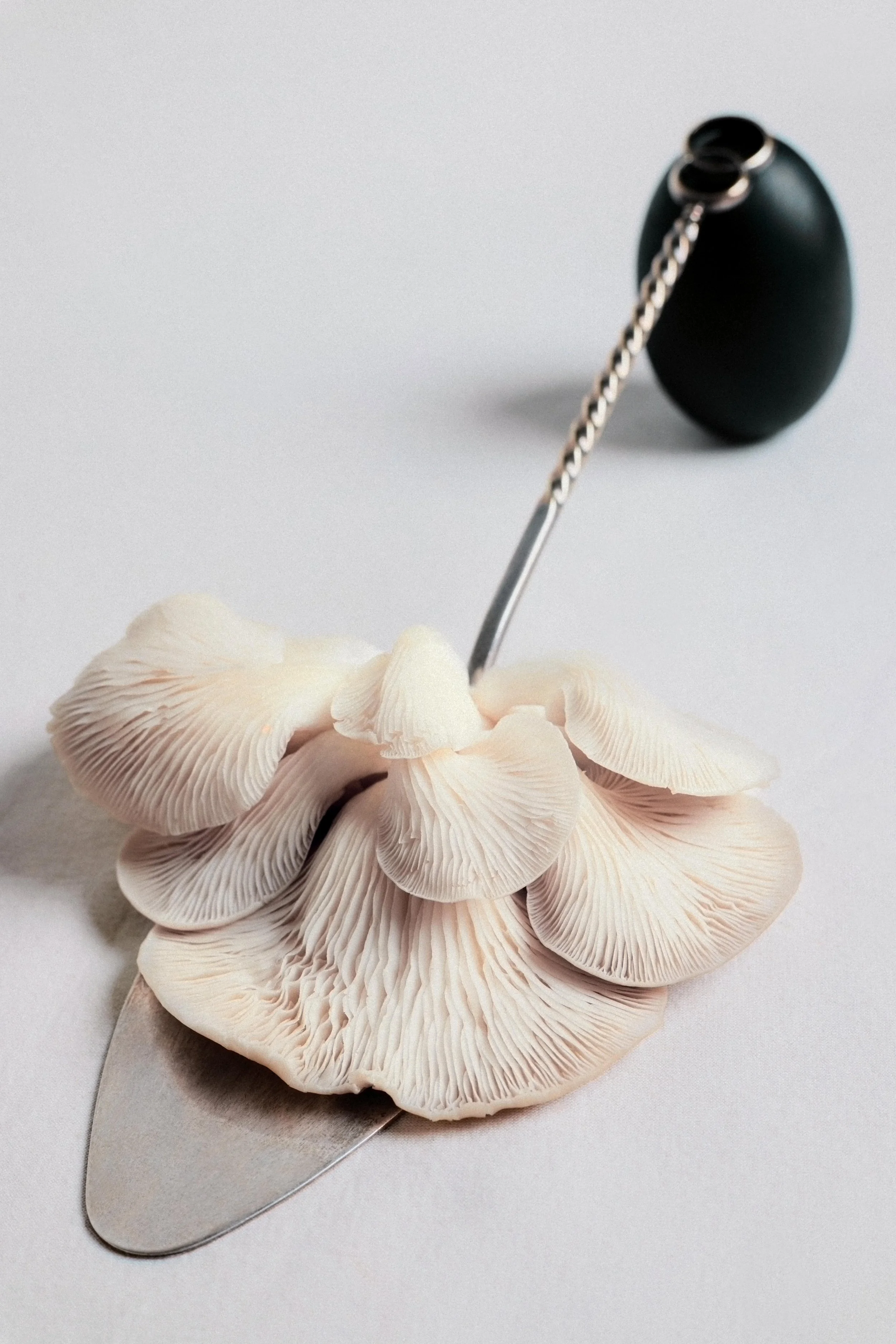Mushroom_elem_NOV230349Final.jpg