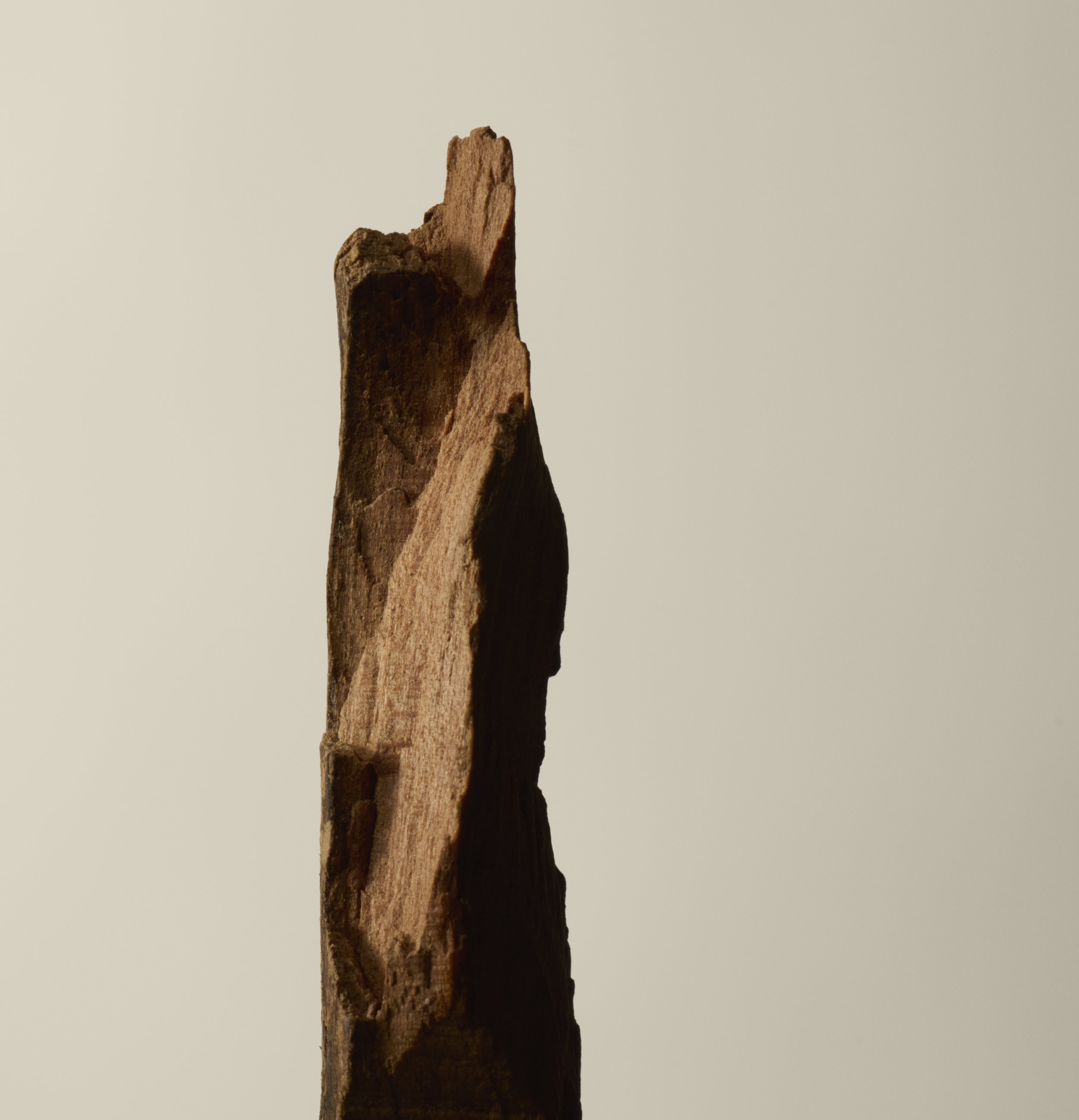 DigitalII25_Still_IngredientSandalwood_025.jpg