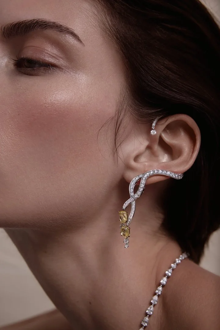 High Jewellery_Silhouette_SS262084Web.jpg