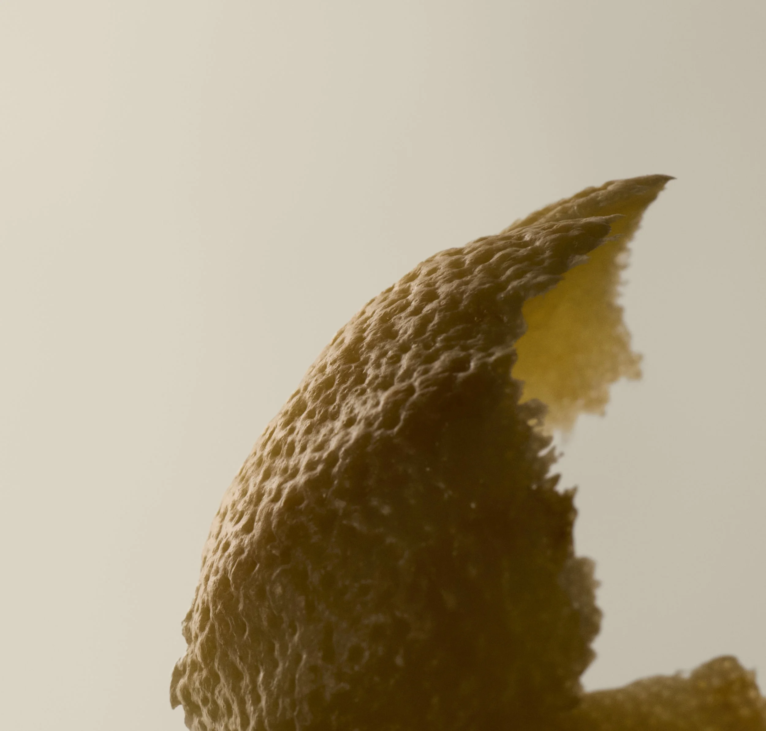 DigitalII25_Still_IngredientBergamotRind_003.jpg