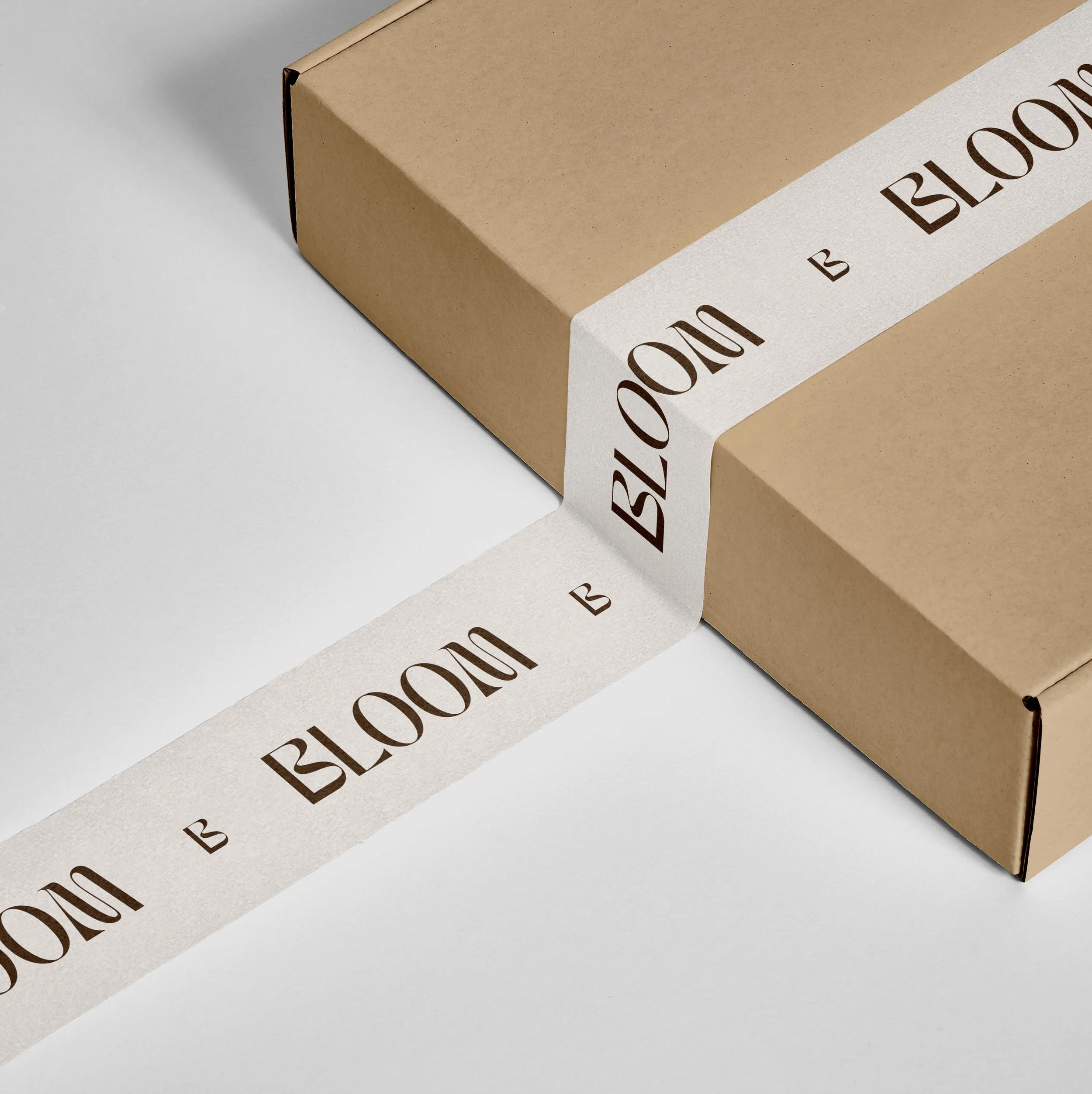 Box PSD Mockup1.jpg
