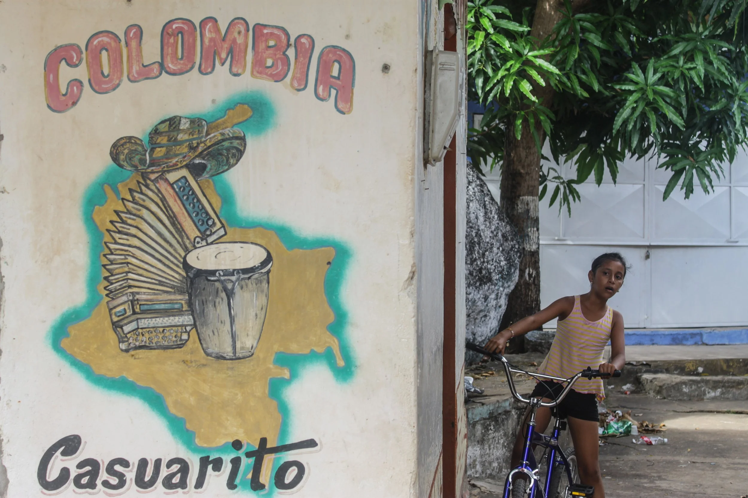 carreño_0001_Capa 2.jpg