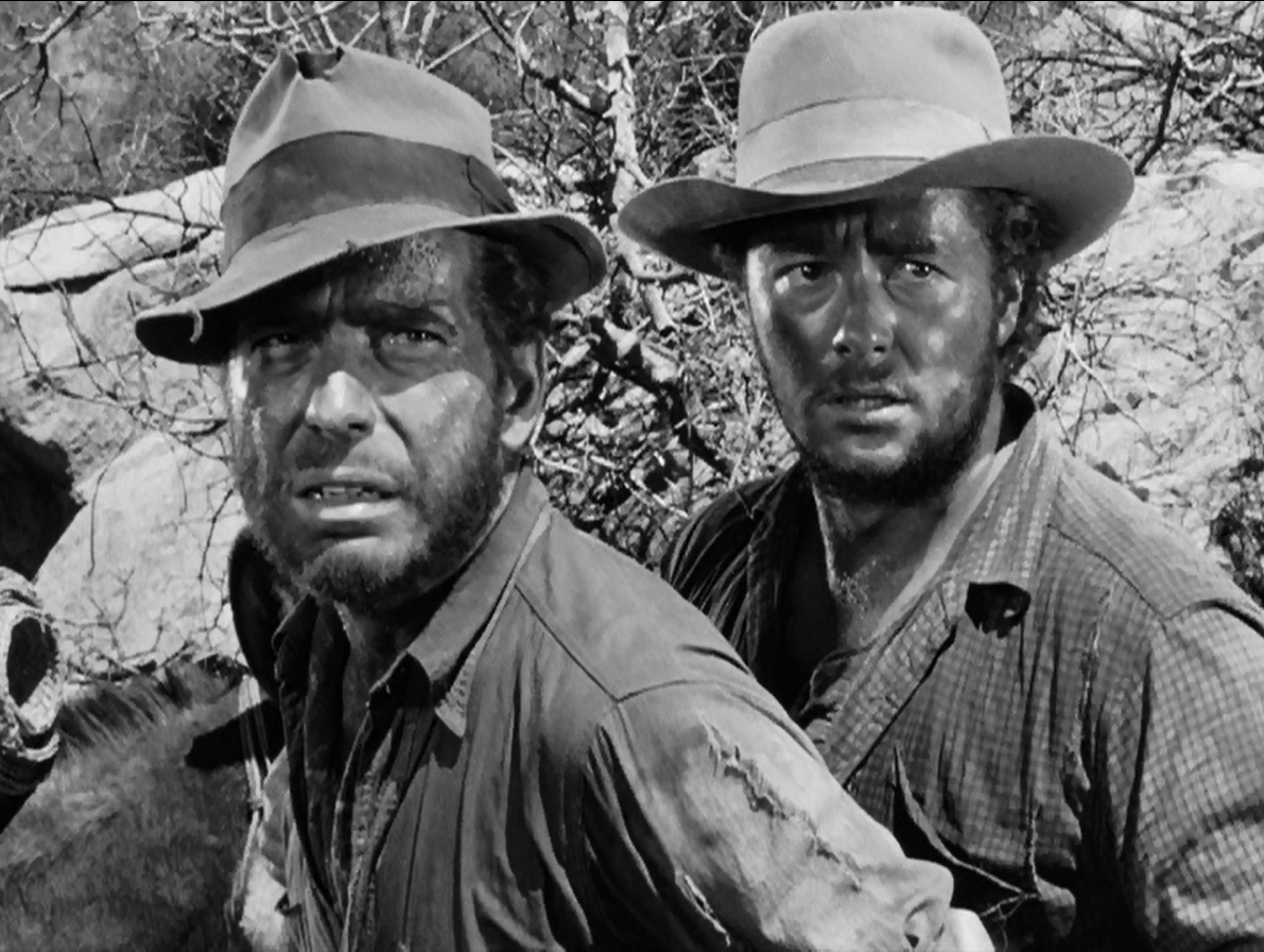 The Treasure of the Sierra Madre (1948)