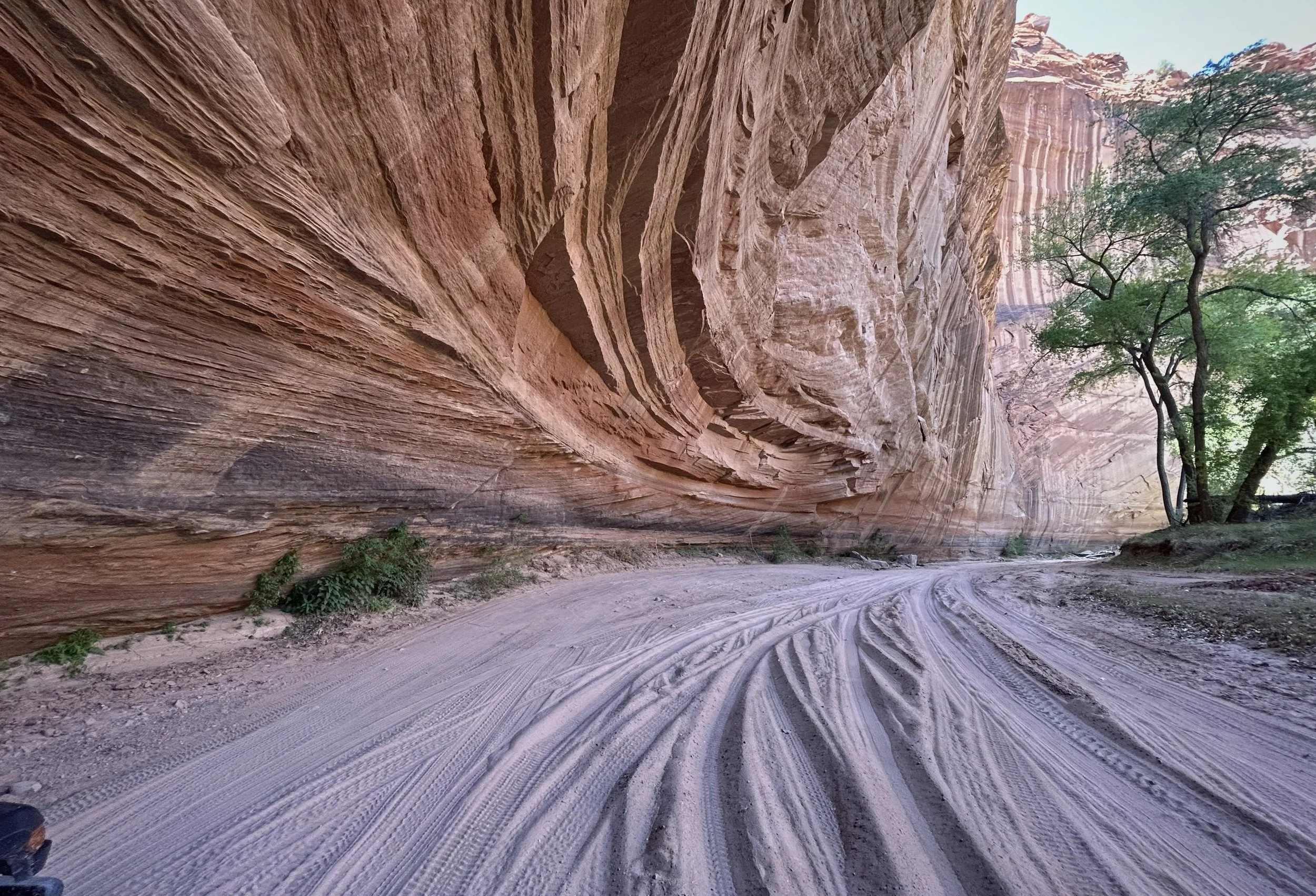 Turning Vision Into Direction