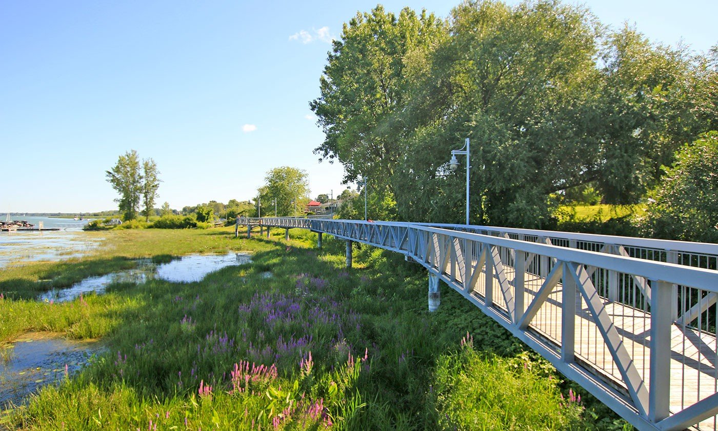 Sentier piétonnier en bord de rivière bordé de verdure et d'arbres, avec lampadaires et ciel bleu en arrière-plan.