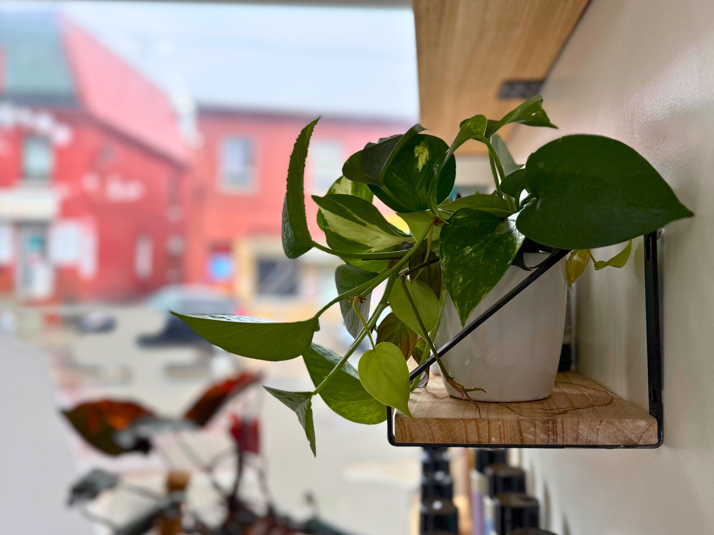 Beauty industry reimagined