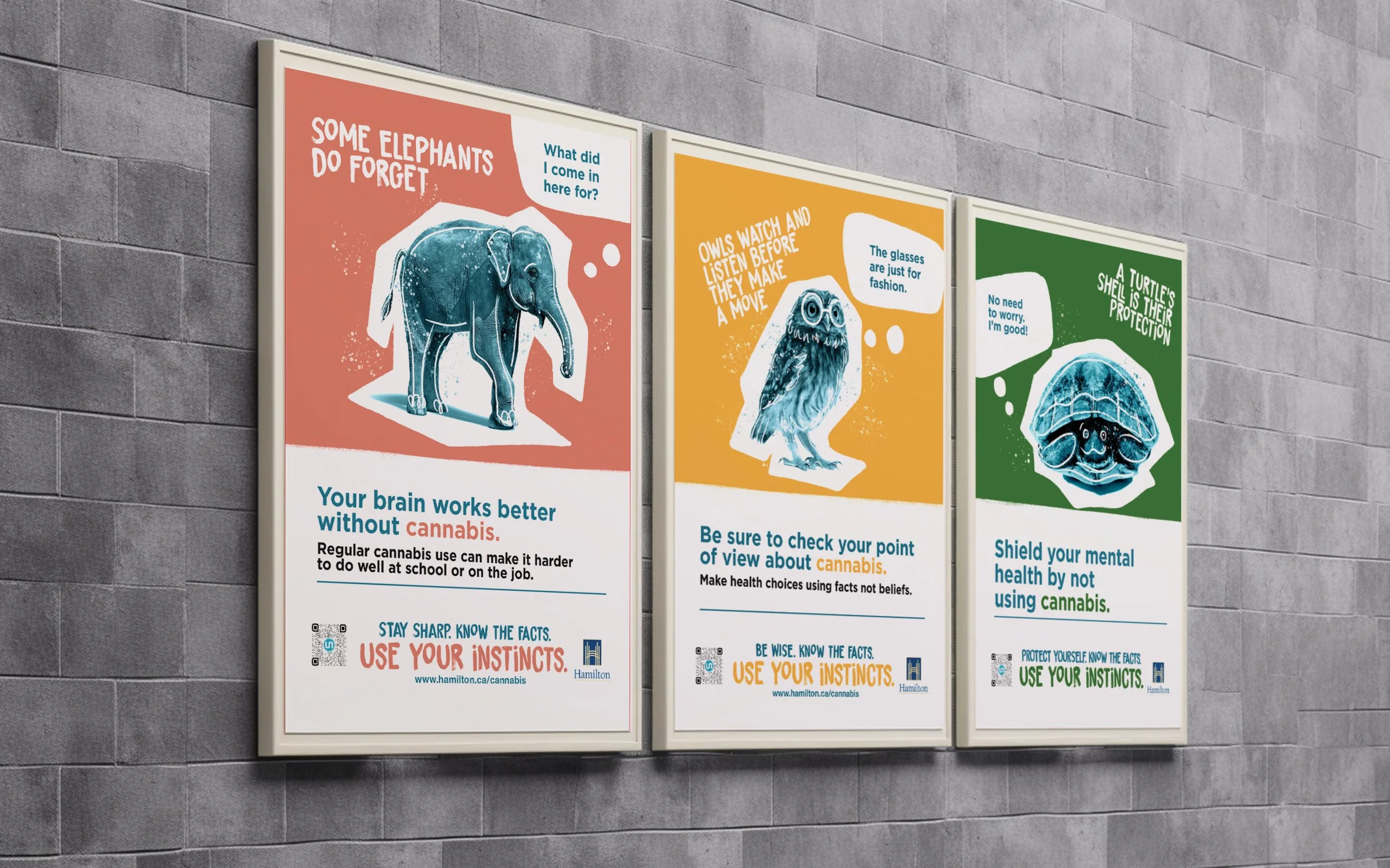 Three framed posters on a brick wall with animal illustrations and anti-cannabis messages. Poster 1 shows an elephant with text about memory and brain function. Poster 2 features an owl, discussing perspectives on cannabis. Poster 3 displays a turtle addressing mental health protection.
