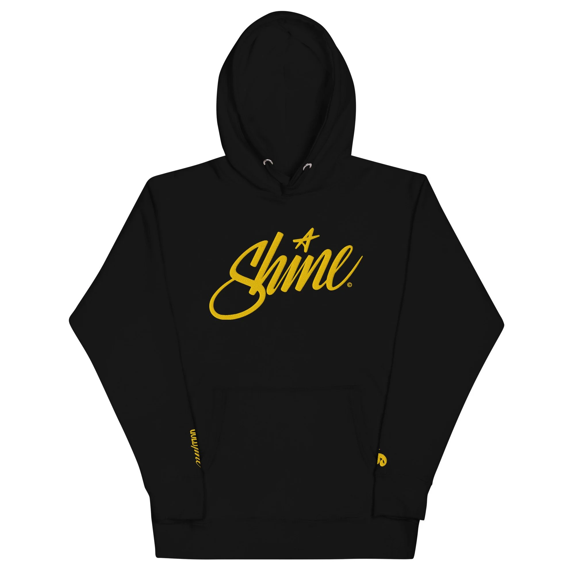 unisex-premium-pullover-hoodie-black-front-6a2bfb639f203.jpg