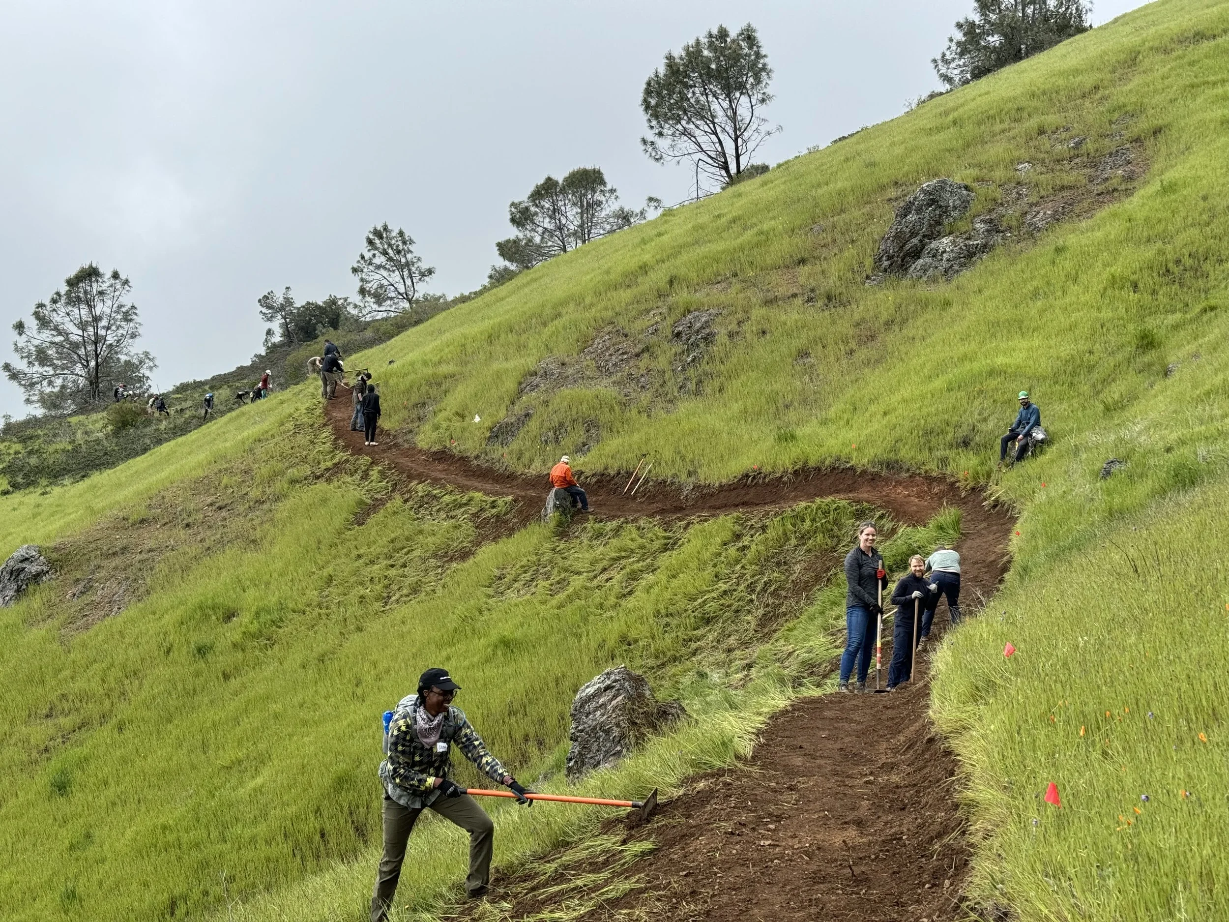 People working on hillside construction, clearing and leveling land with shovels and tools, surrounded by green grass and trees.