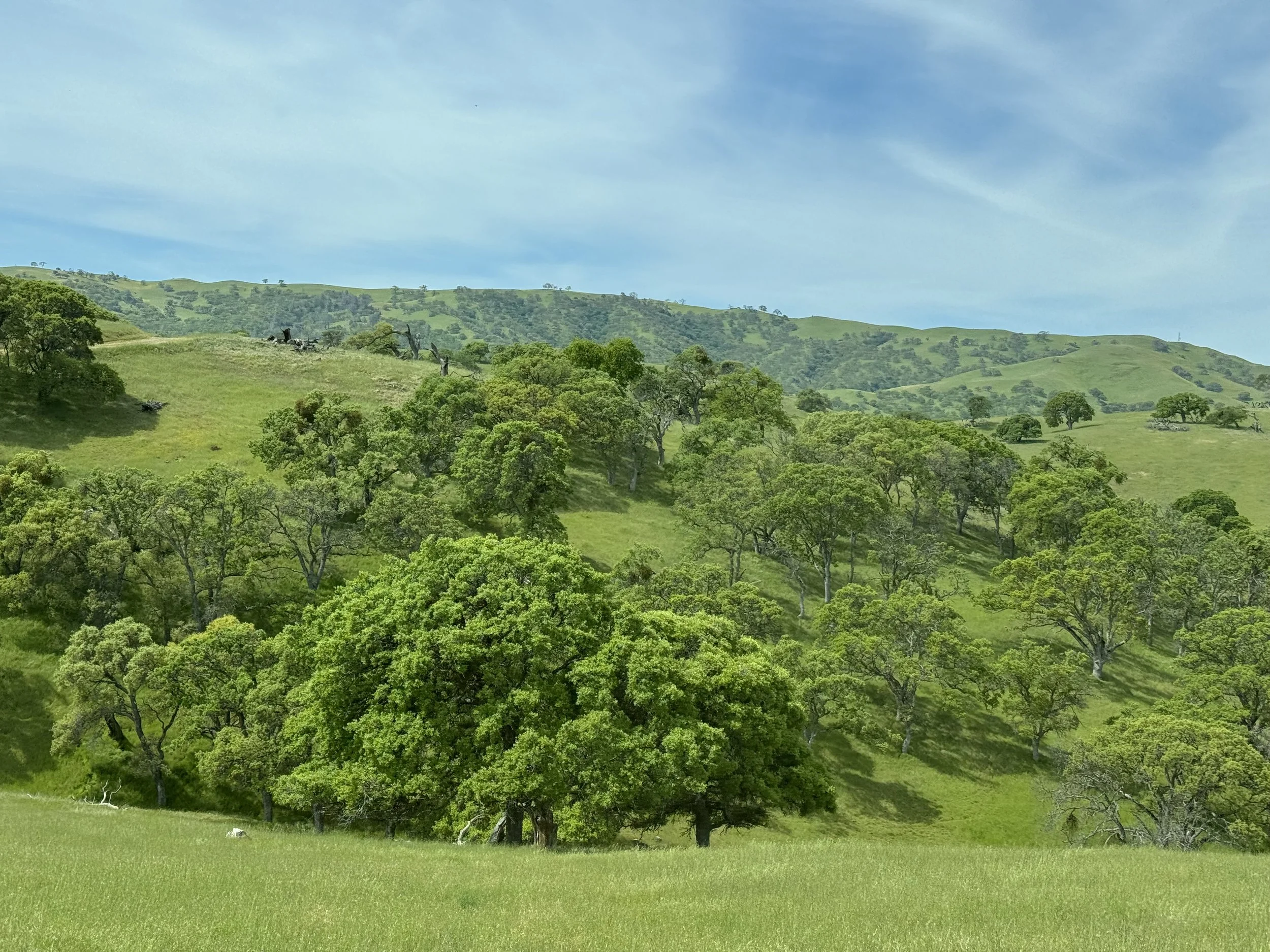 Your Voice Can Support a New State Park & Greater Open Space Access