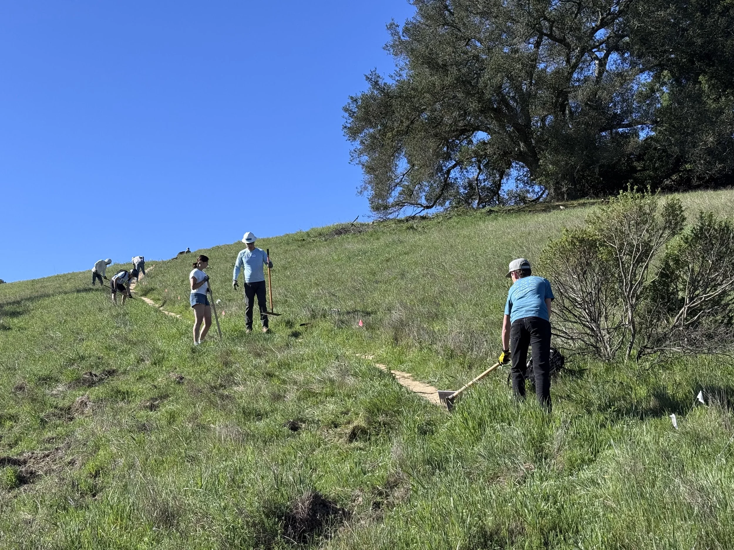 Strong Close to Dig Days Season Three