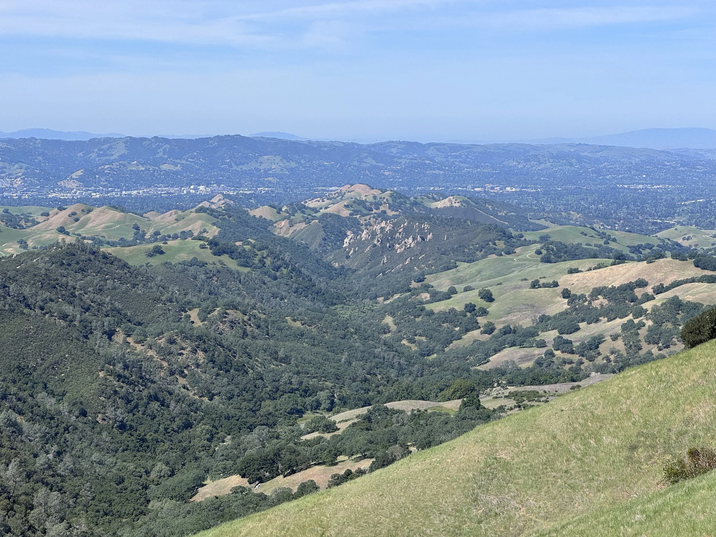 IMG_9810.jpeg