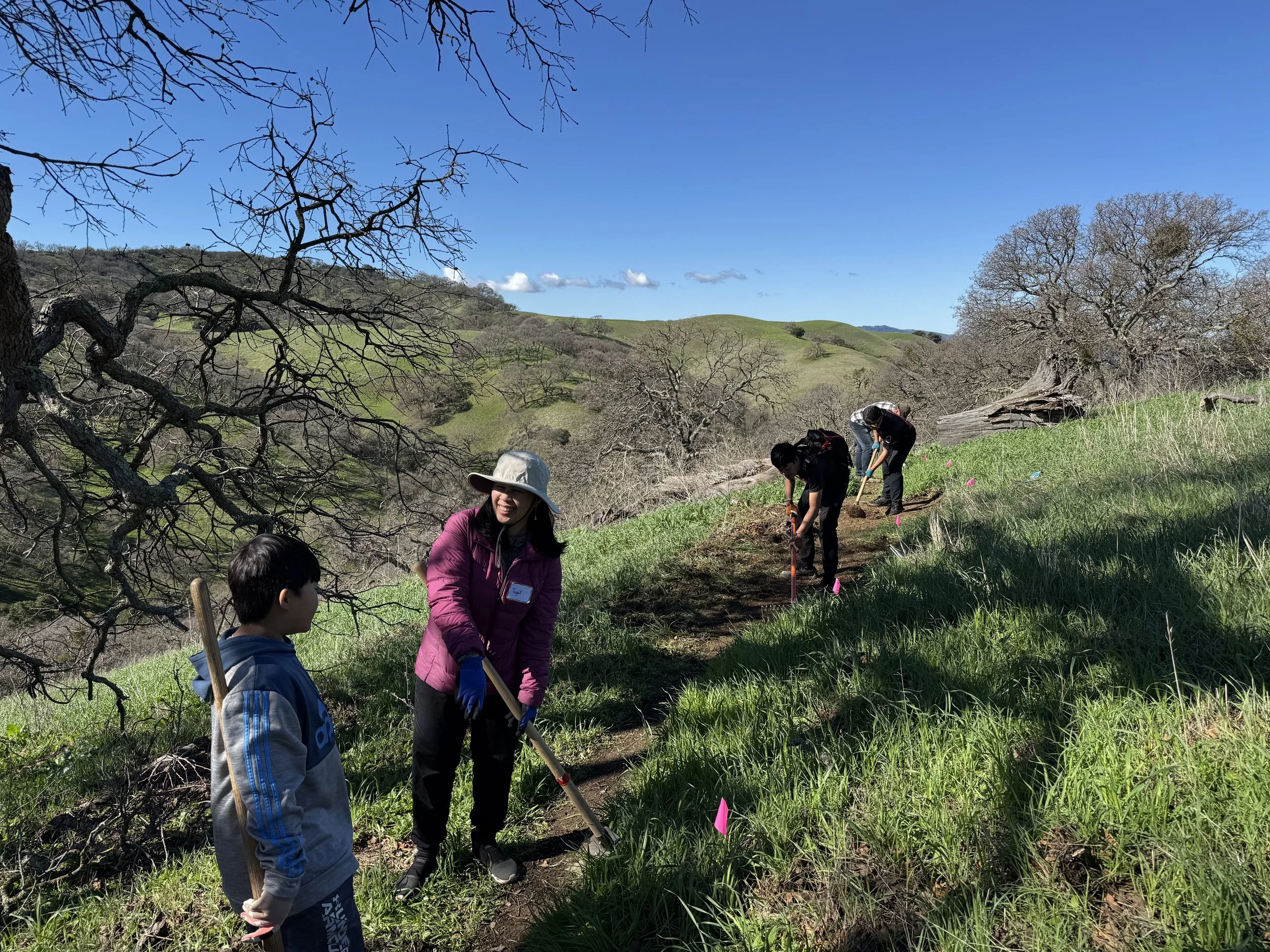 People planting trees along a hillside with green grass and leafless trees under a clear blue sky.