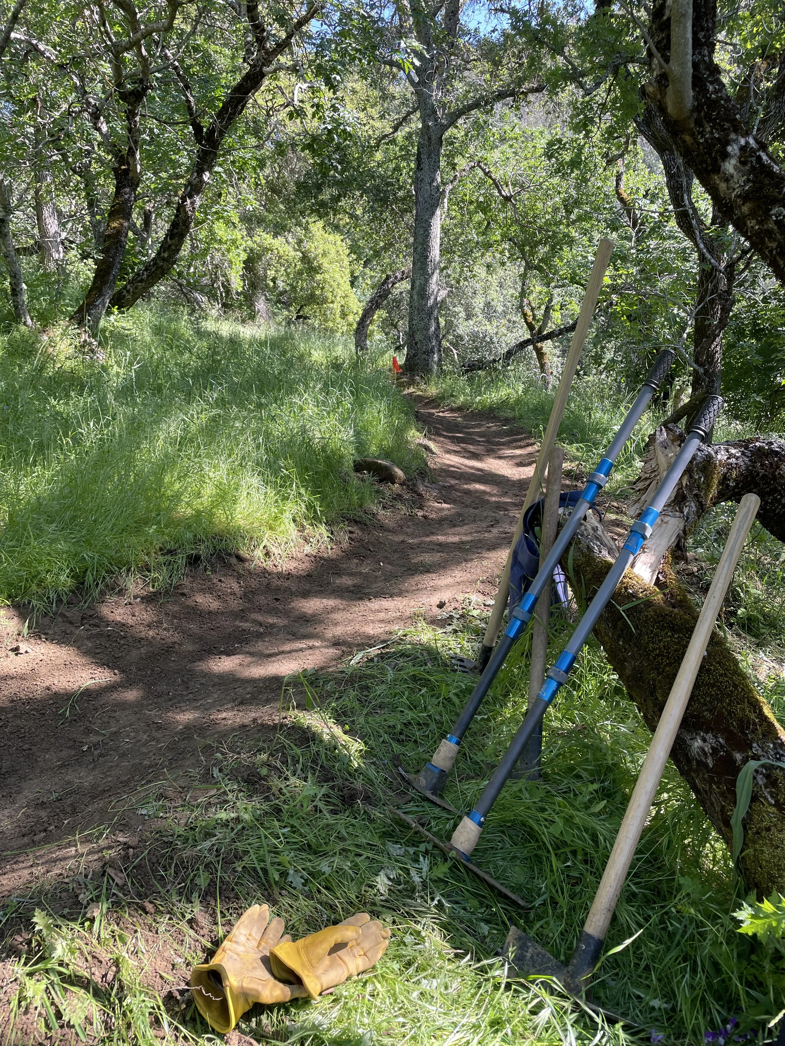 Mount Diablo Trails Alliance - IMG 6413 