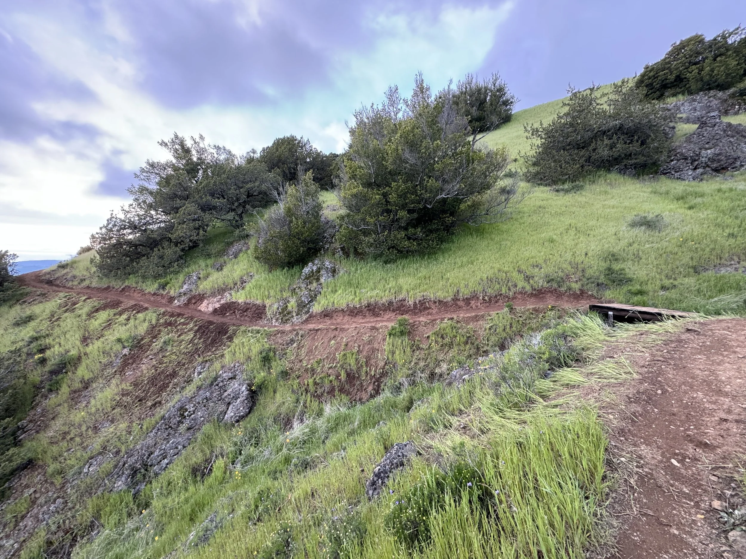 A dirt trail runs along a grassy hillside with bushes and trees, and a stormy sky overhead.