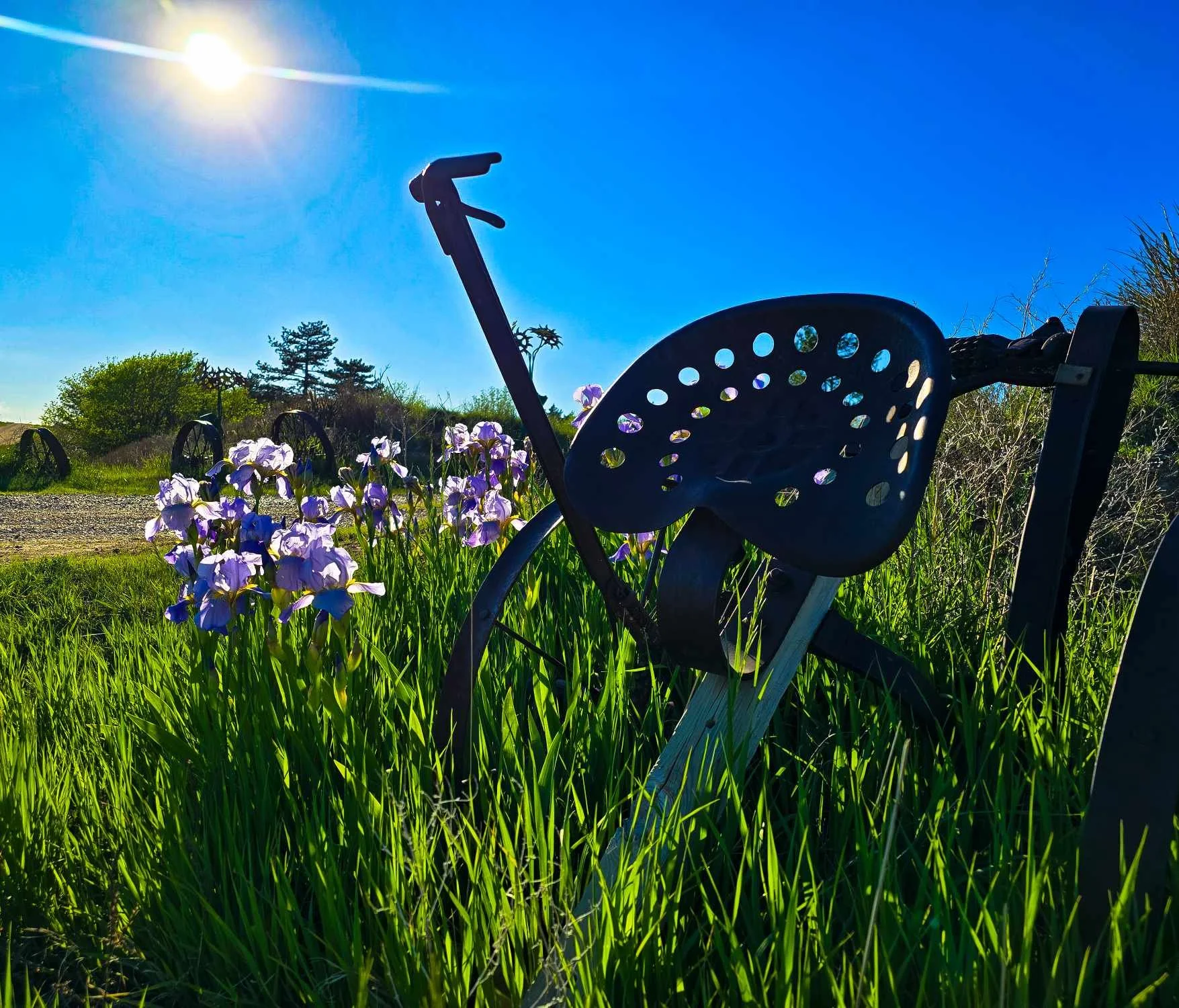 Why Rural Kansas Needs a Strong Democratic Voice