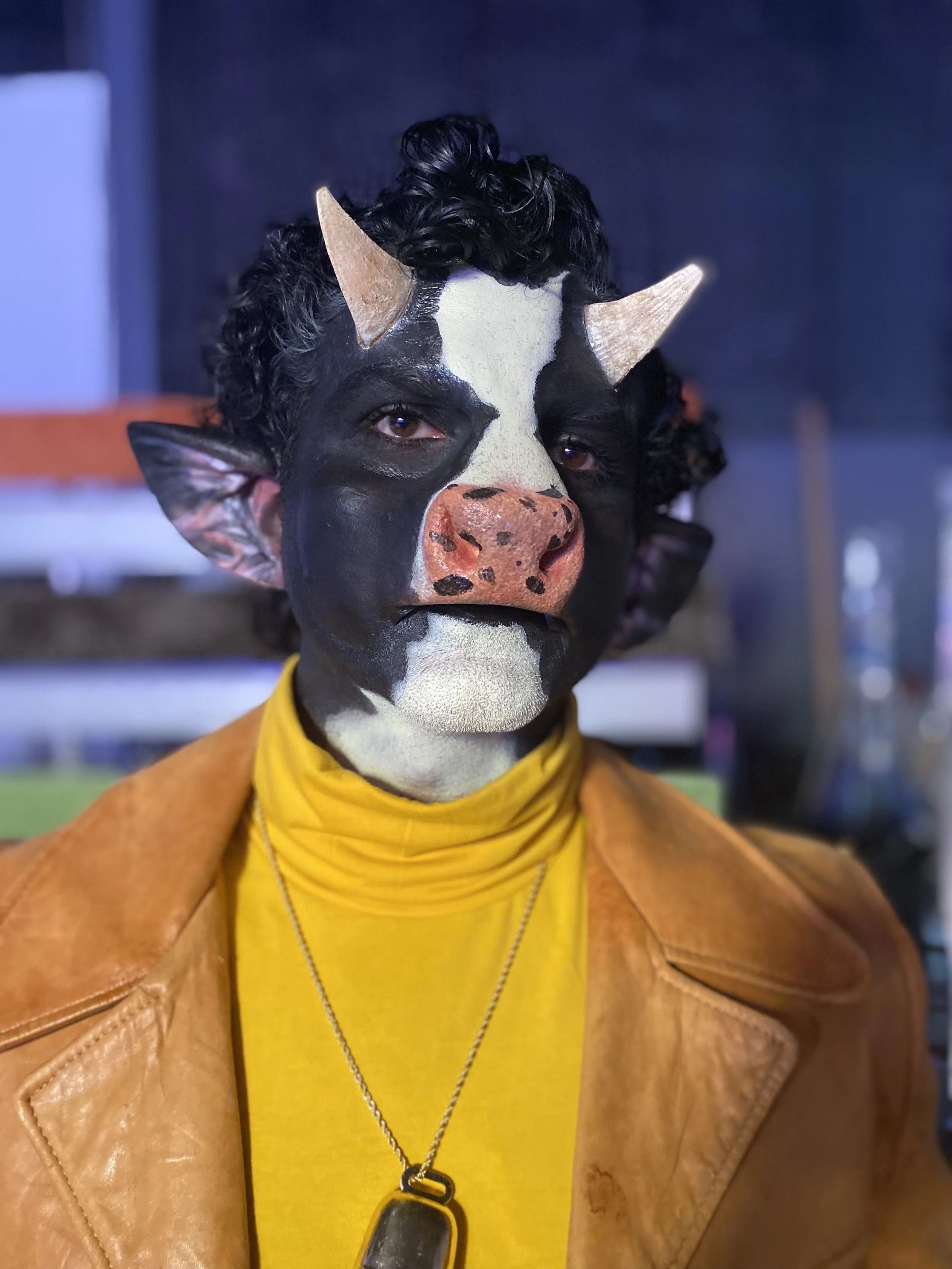 Truth Campaign - Cow.jpg