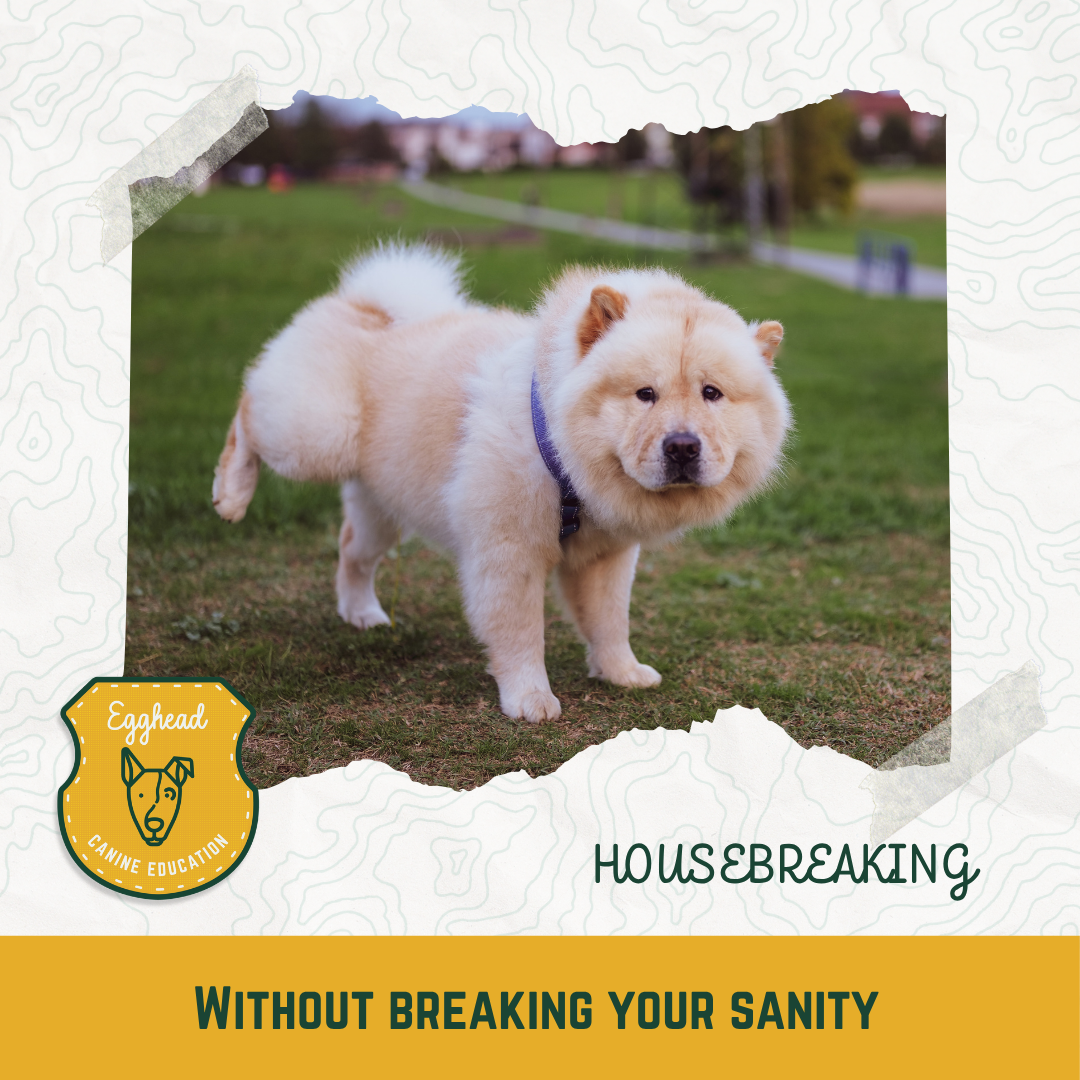 Housebreaking: 100% Mental-Breakdown Free