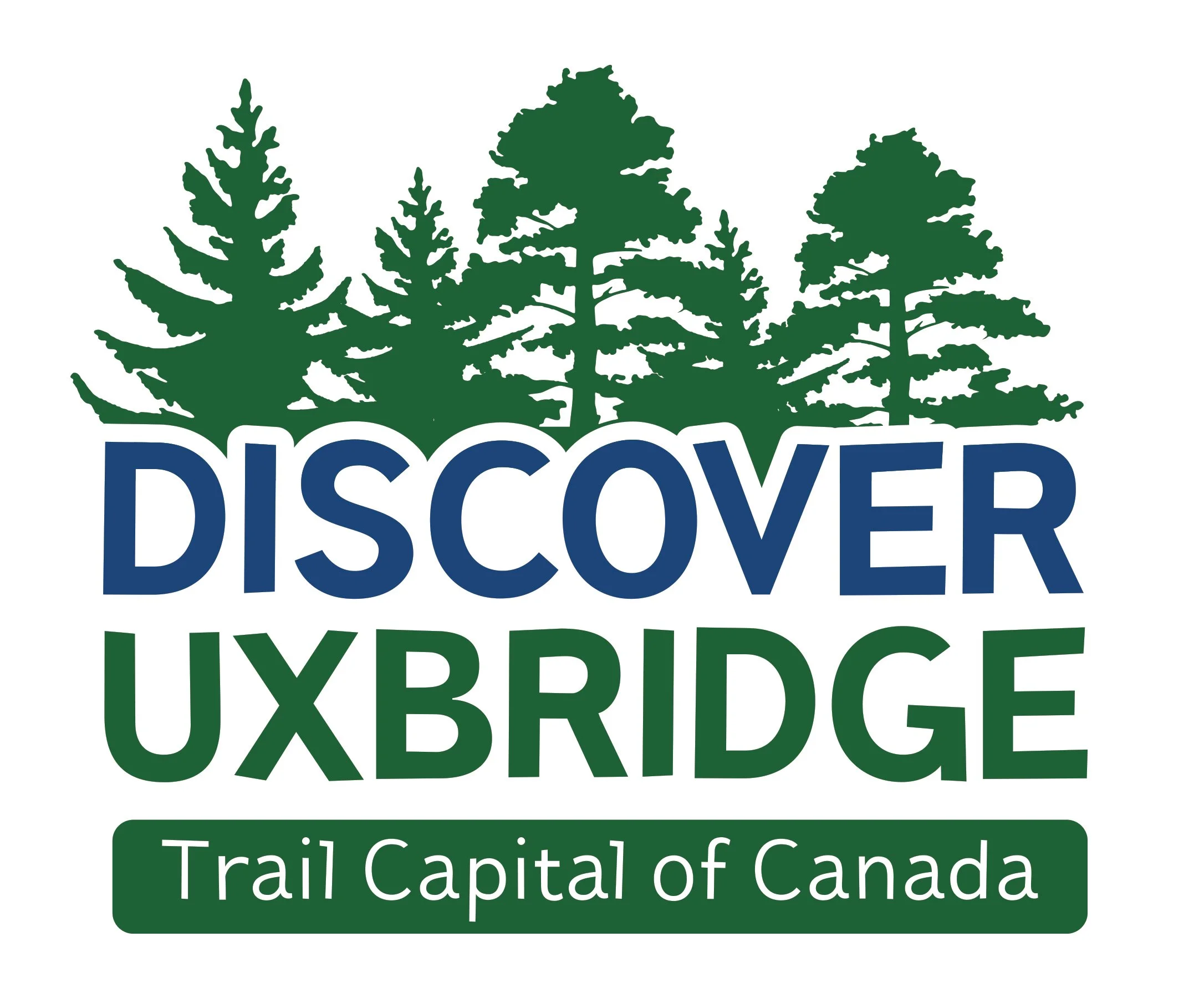 Township to celebrate 50 years with merch, custom flag