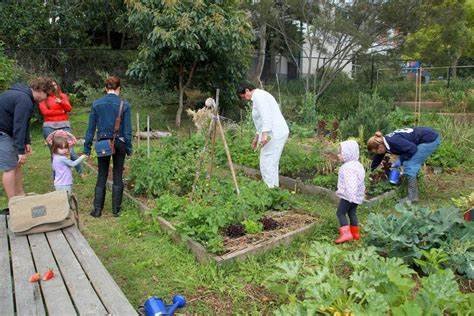 Township looking for community input on community garden