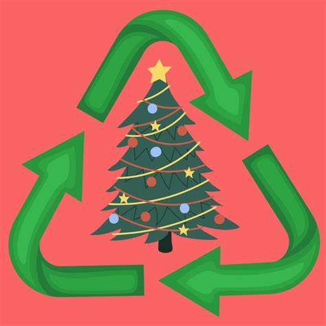 Region collecting Christmas trees in January
